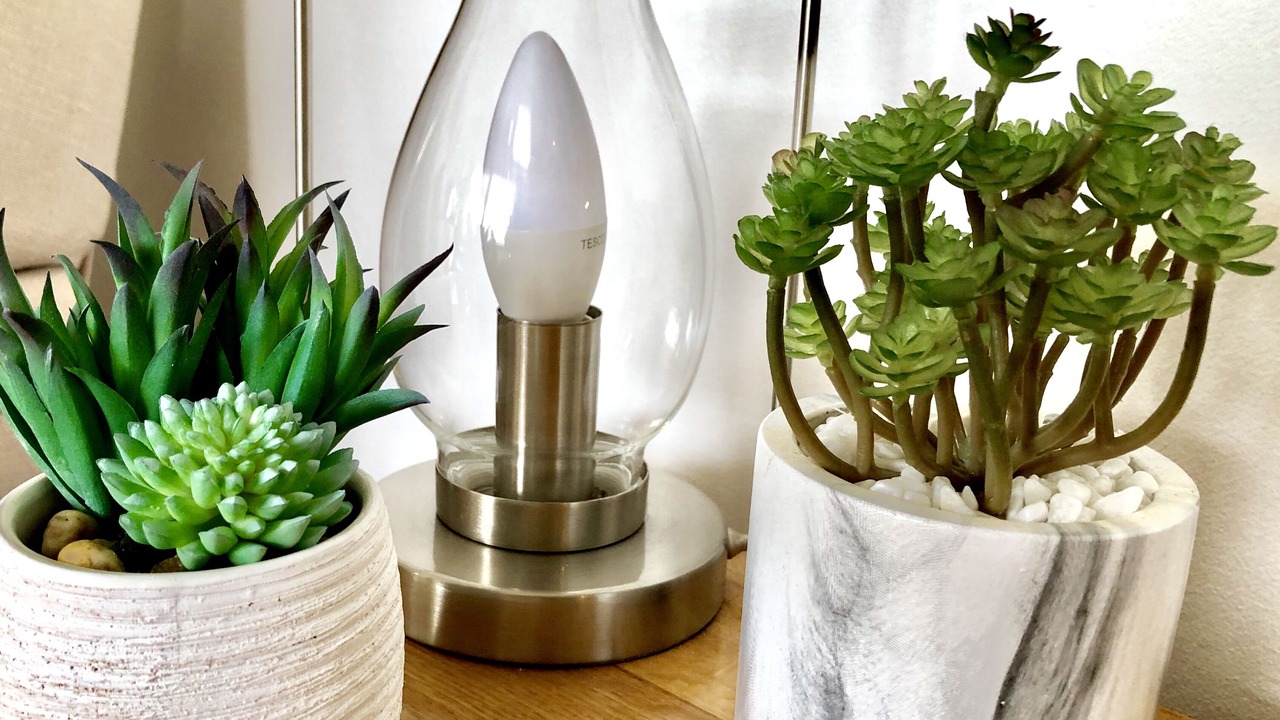 Photo of Others in Polzeath