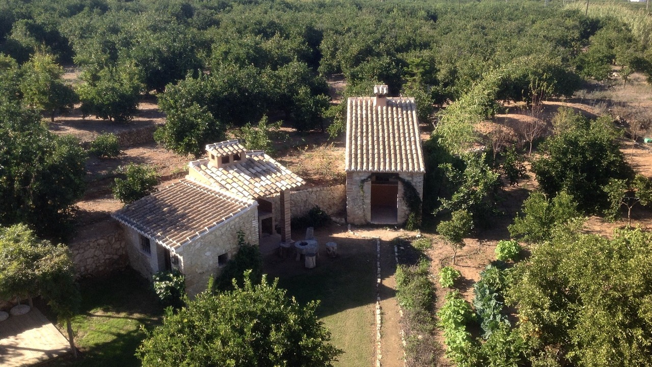 Photo of Outdoor in Carcaixent