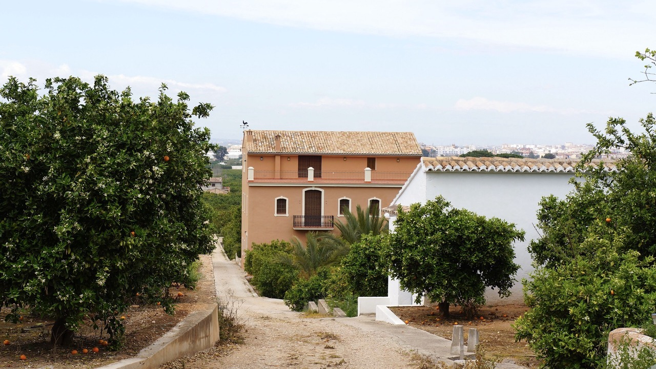 Photo of Outdoor in Carcaixent