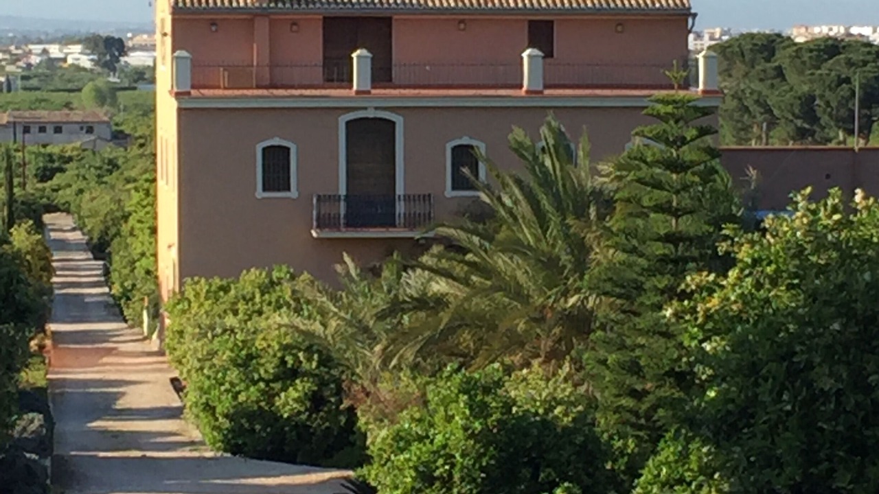 Photo of Outdoor in Carcaixent