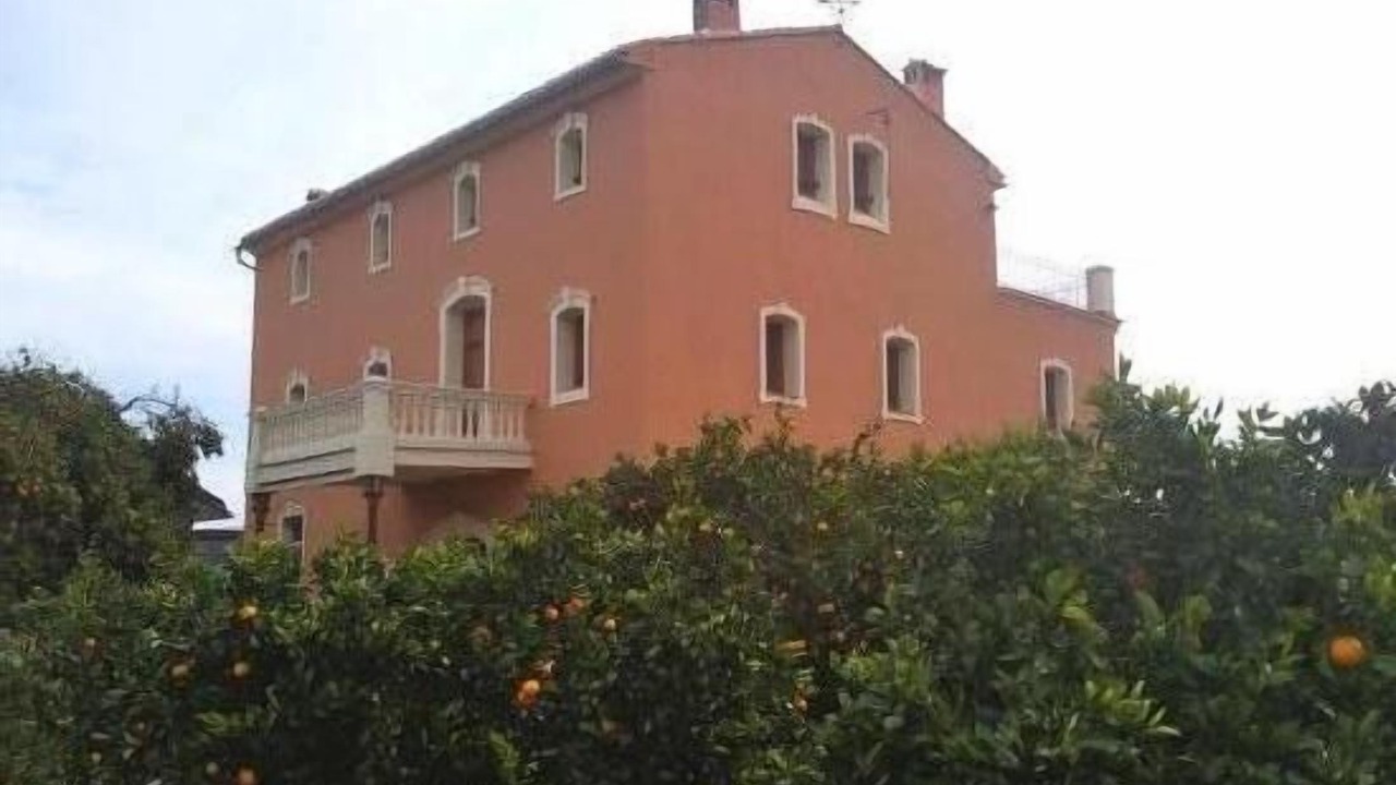 Photo of Outdoor in Carcaixent