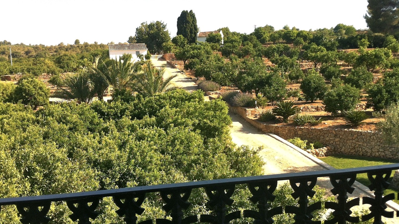 Photo of Outdoor in Carcaixent