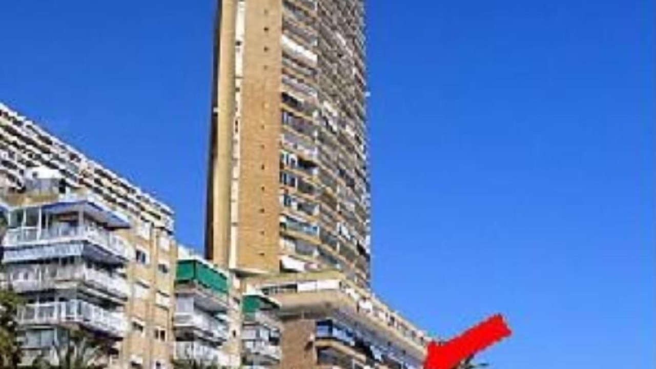 Photo of Others in L'Albufereta