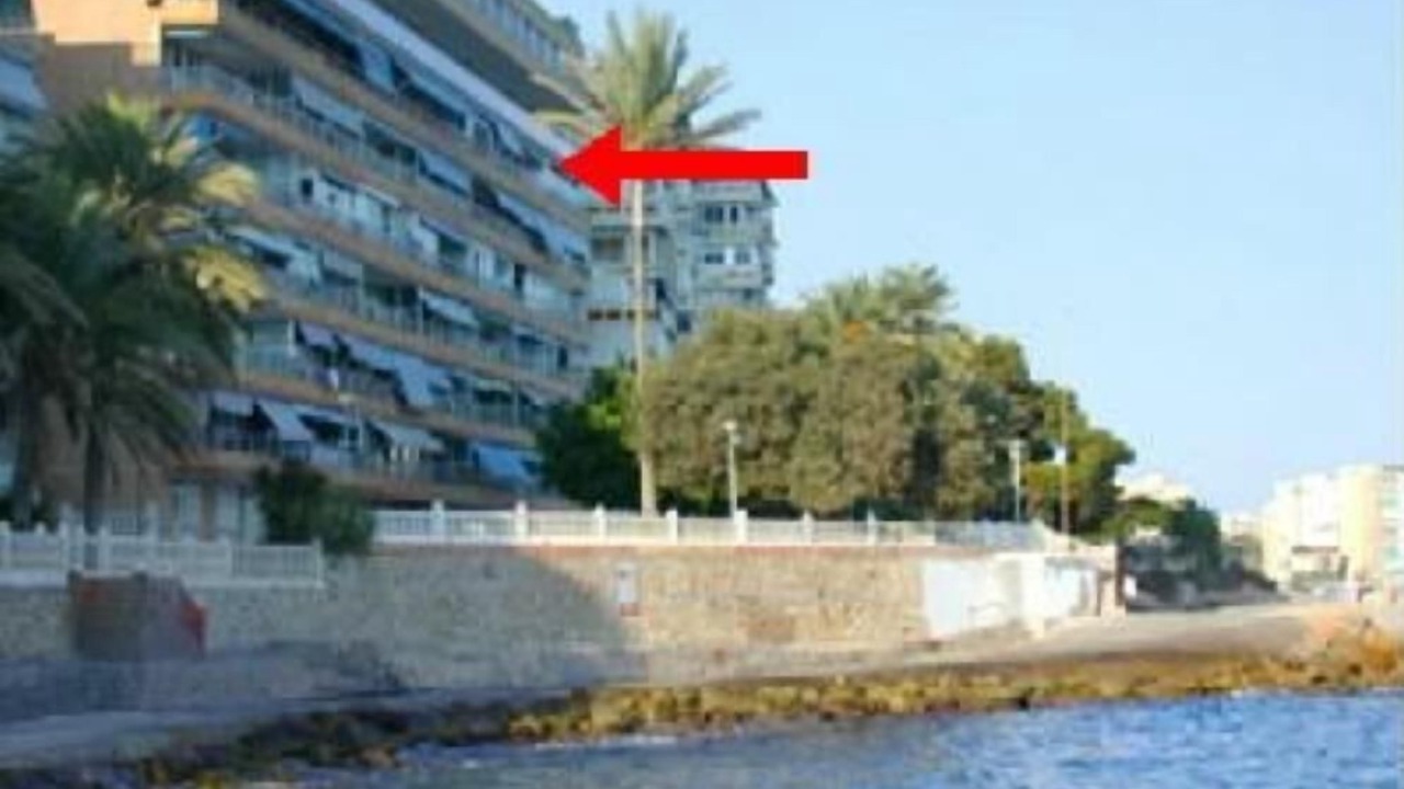 Photo of Outdoor in L'Albufereta