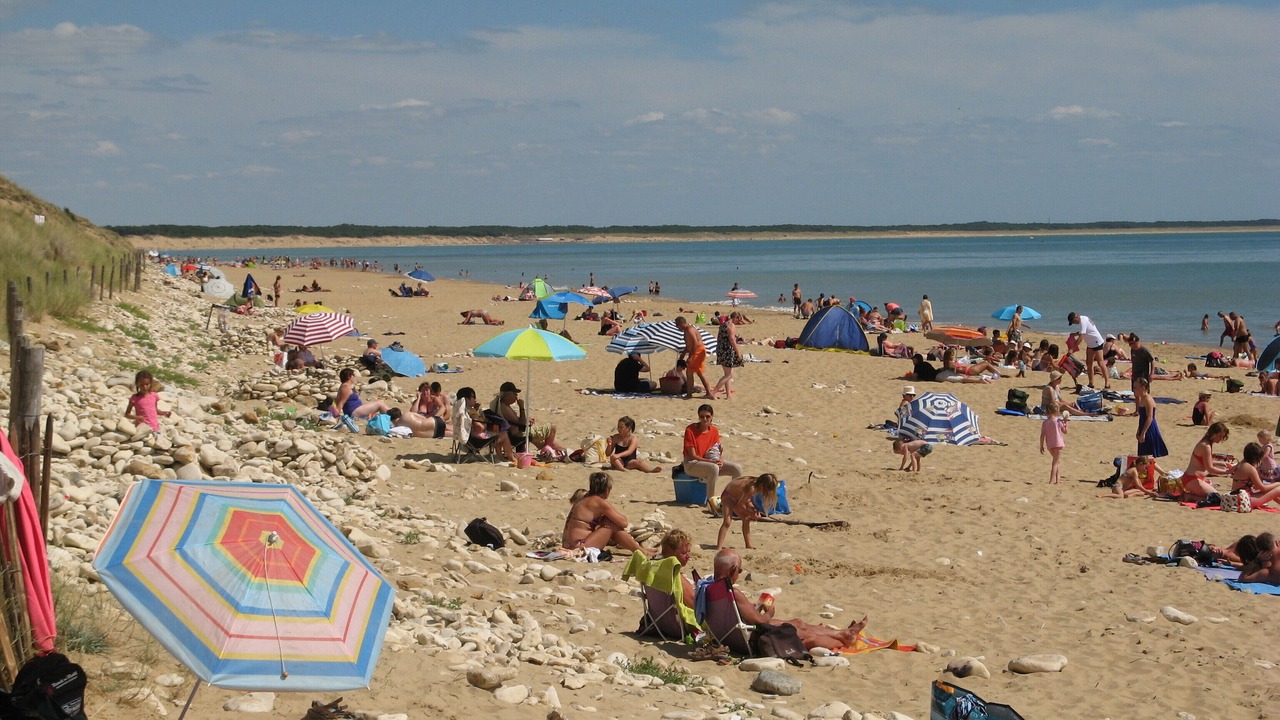 Photo of Others in Saint-Hilaire-la-Foret