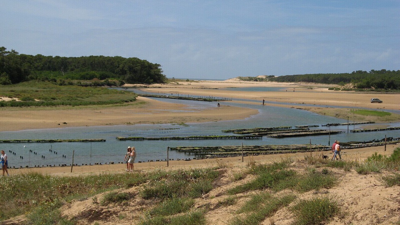 Photo of Others in Saint-Hilaire-la-Foret