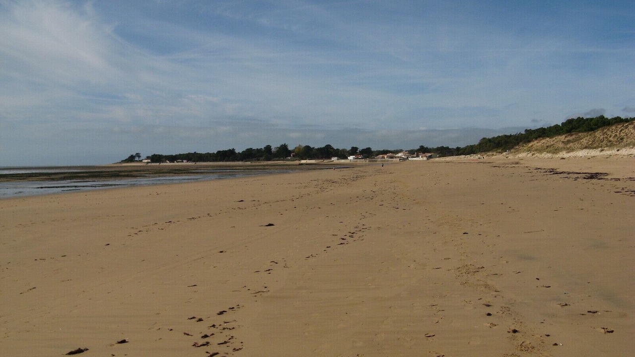 Photo of Others in Saint-Hilaire-la-Foret