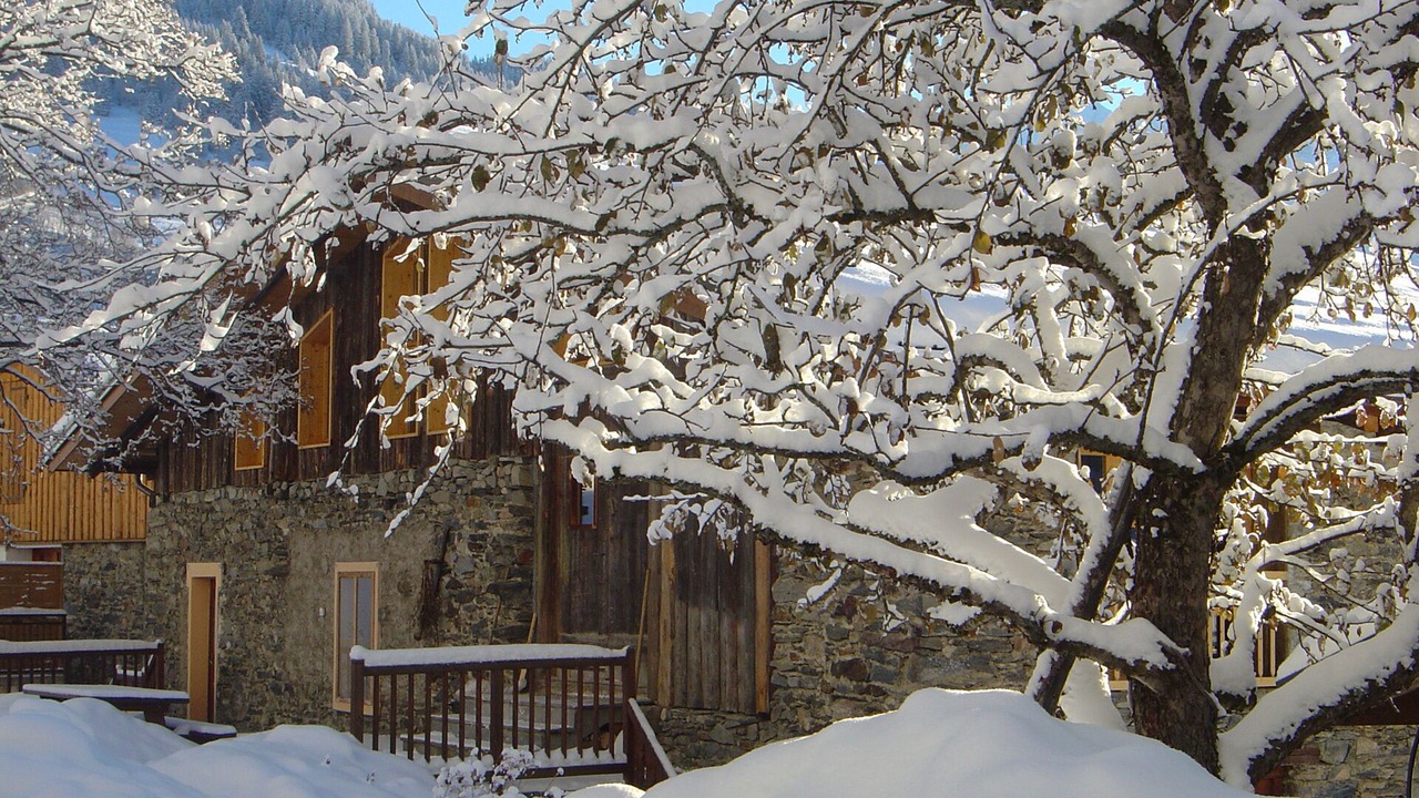 Photo of Outdoor in Bozel