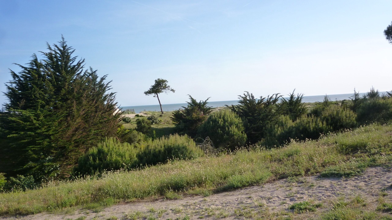 Photo of Outdoor in La Gueriniere