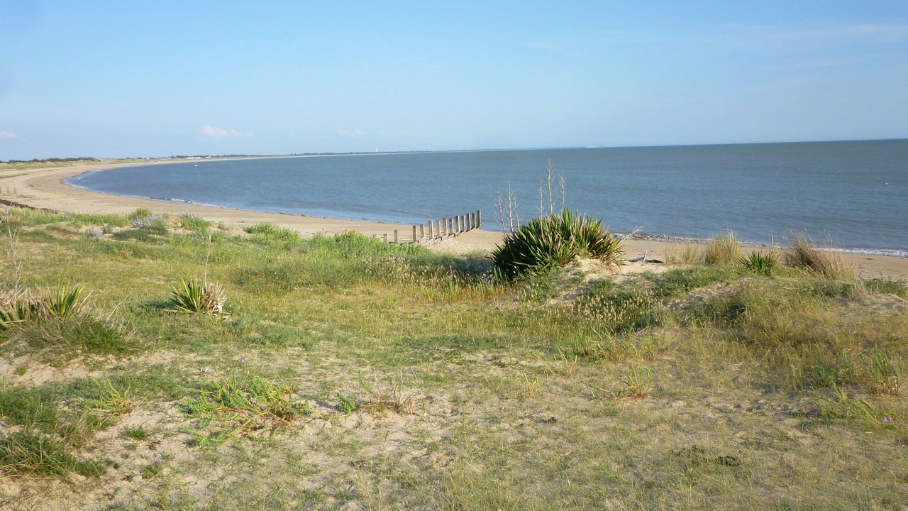 Photo of Others in La Gueriniere