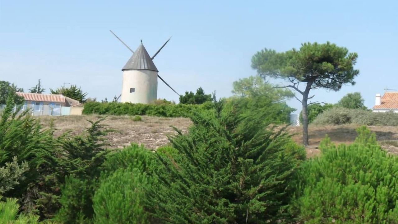 Photo of Others in La Gueriniere