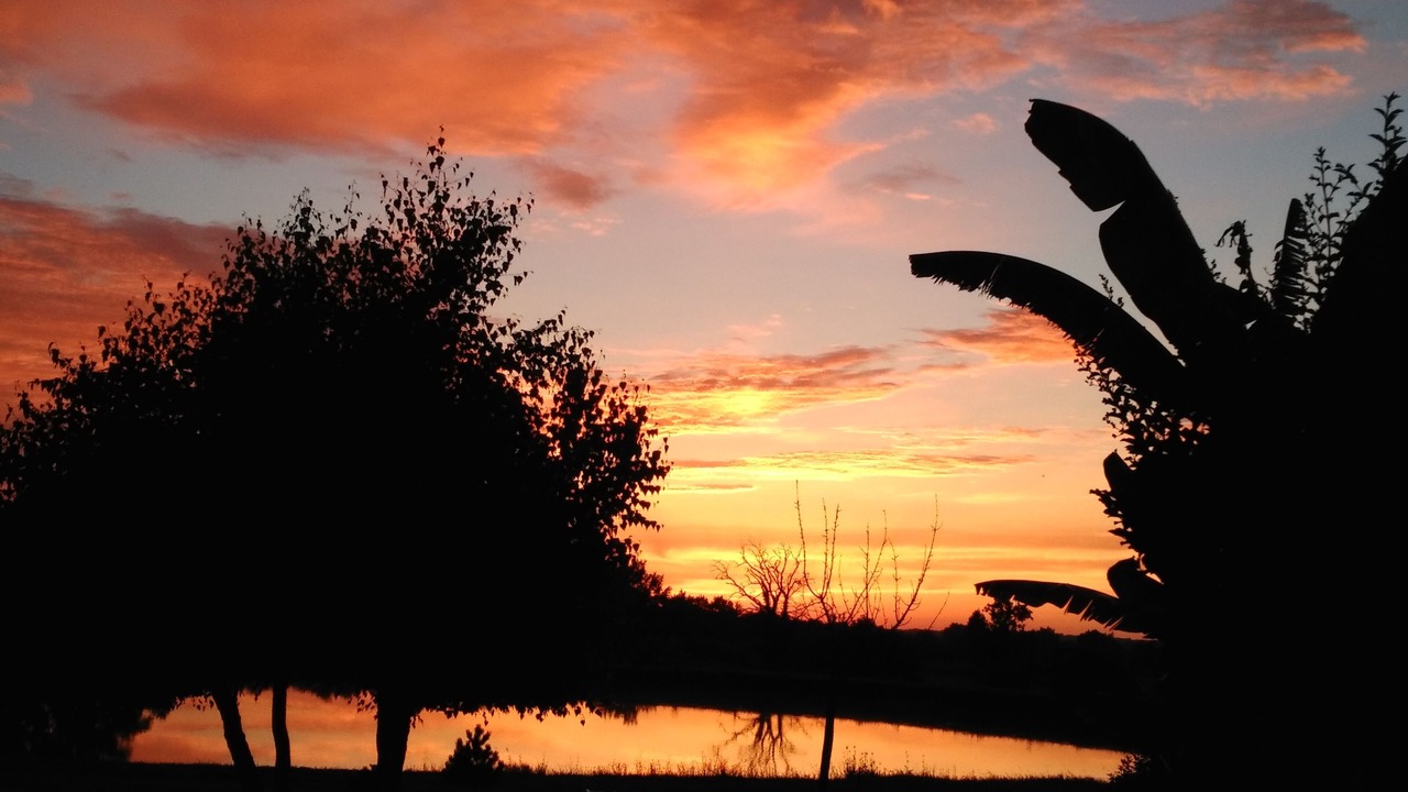 Photo of Others in Lavergne