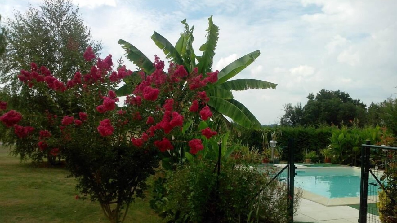 Photo of Outdoor in Lavergne