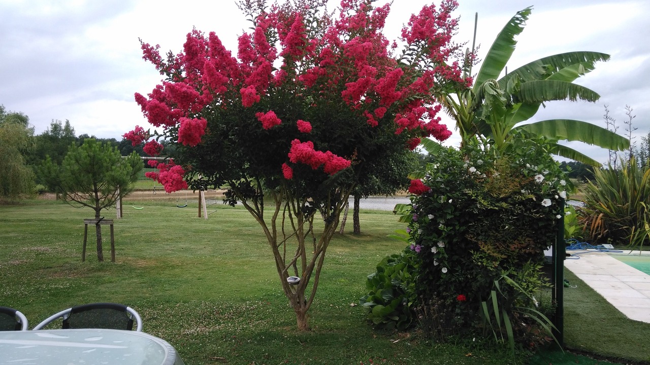 Photo of Outdoor in Lavergne