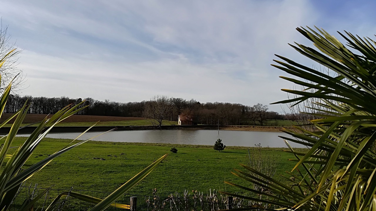 Photo of Outdoor in Lavergne