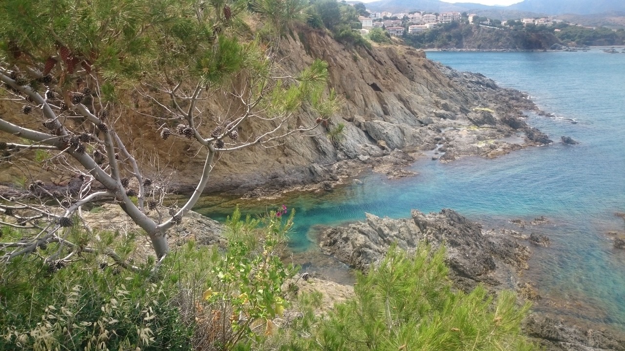 Photo of Others in Llanca