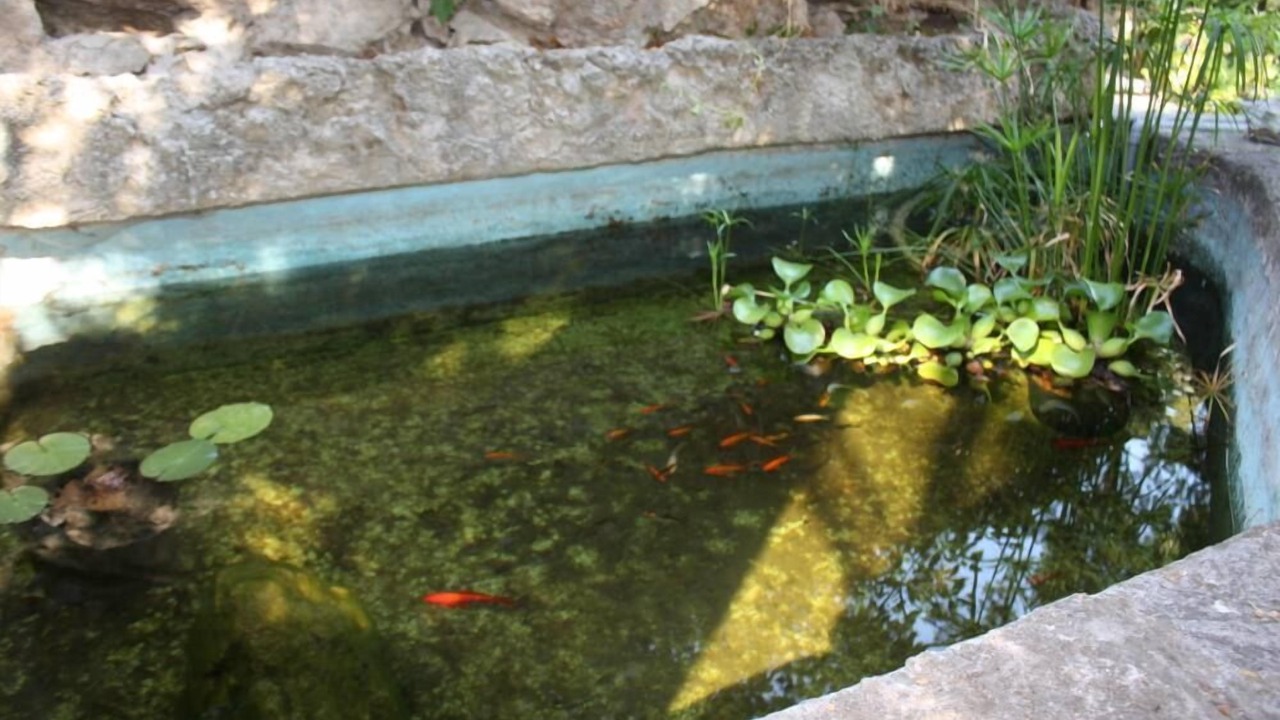 Photo of Outdoor in Roucas-Blanc