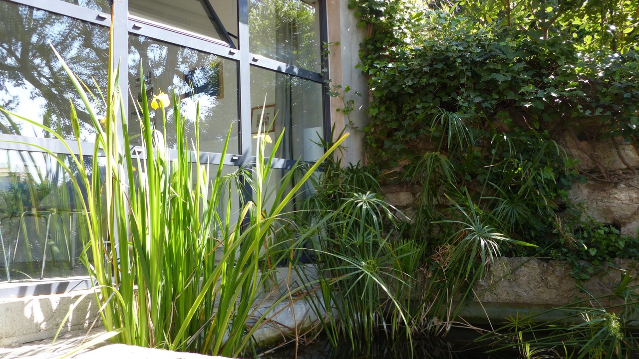 Photo of Outdoor in Roucas-Blanc
