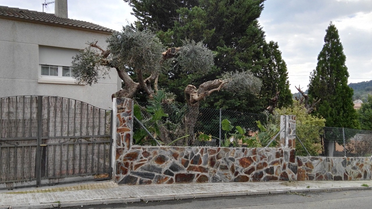 Photo of Outdoor in El Castell de Montornes