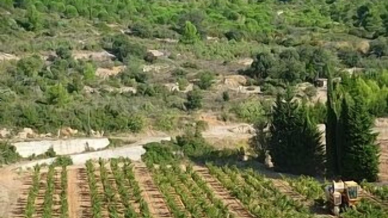 Photo of Outdoor in Durban-Corbieres