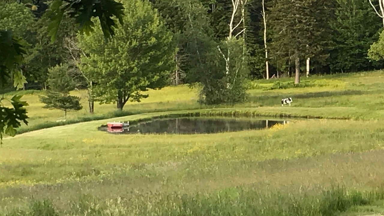 Photo of Others in South Thomaston