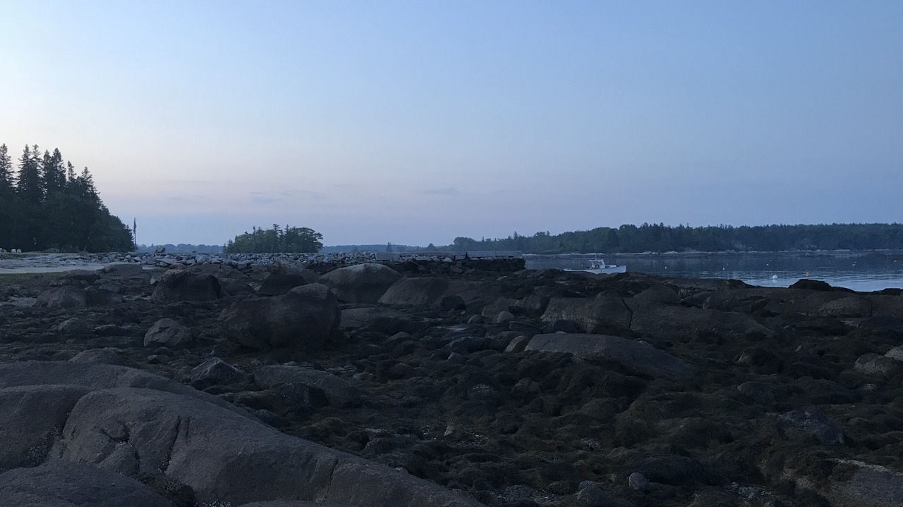 Photo of Outdoor in South Thomaston