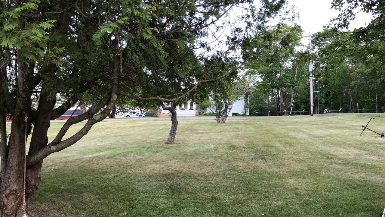 Photo of Others in South Thomaston