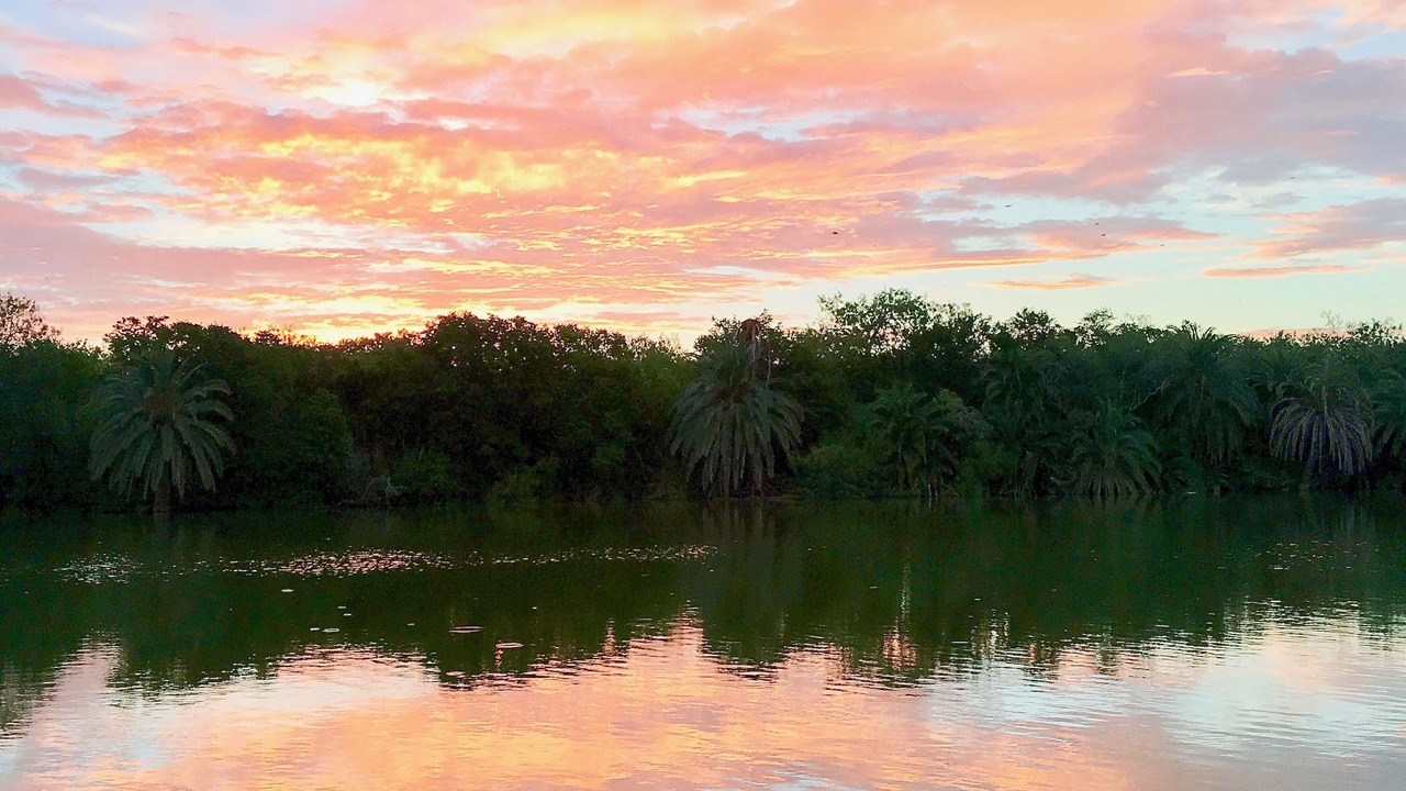 Photo of Outdoor in Progreso Lakes