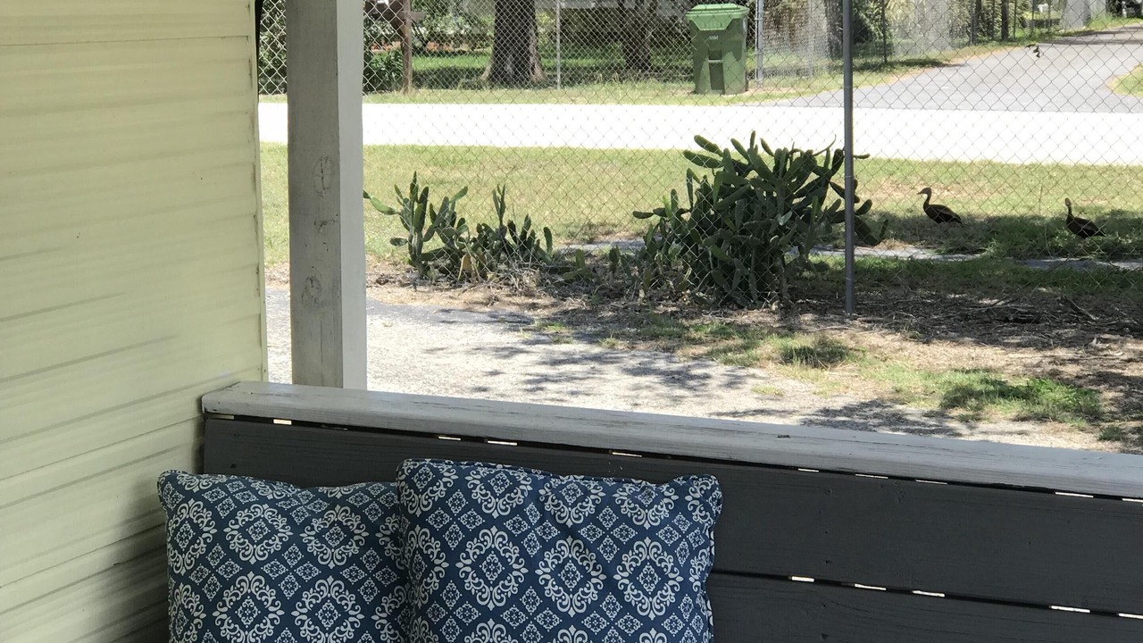 Photo of Outdoor in San Benito