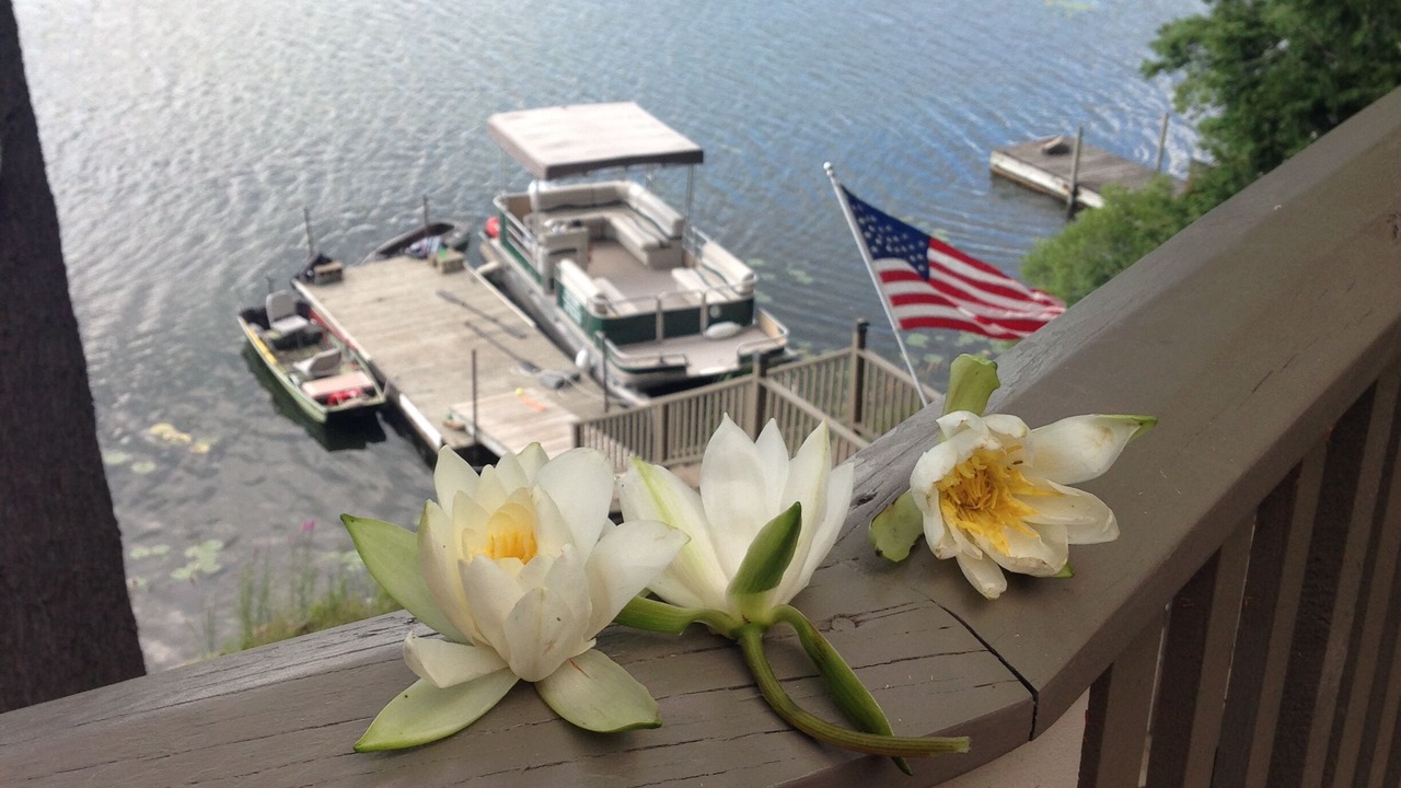 Photo of Outdoor in Hammond