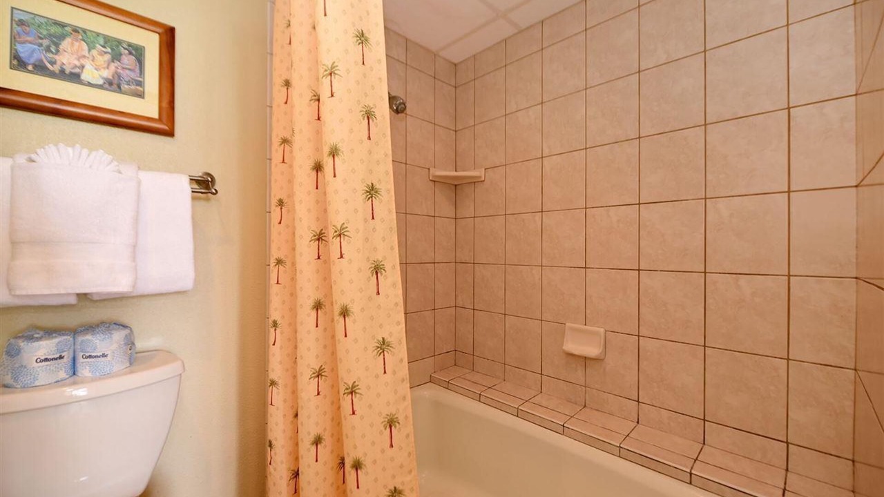 Photo of Bathroom in Honokowai