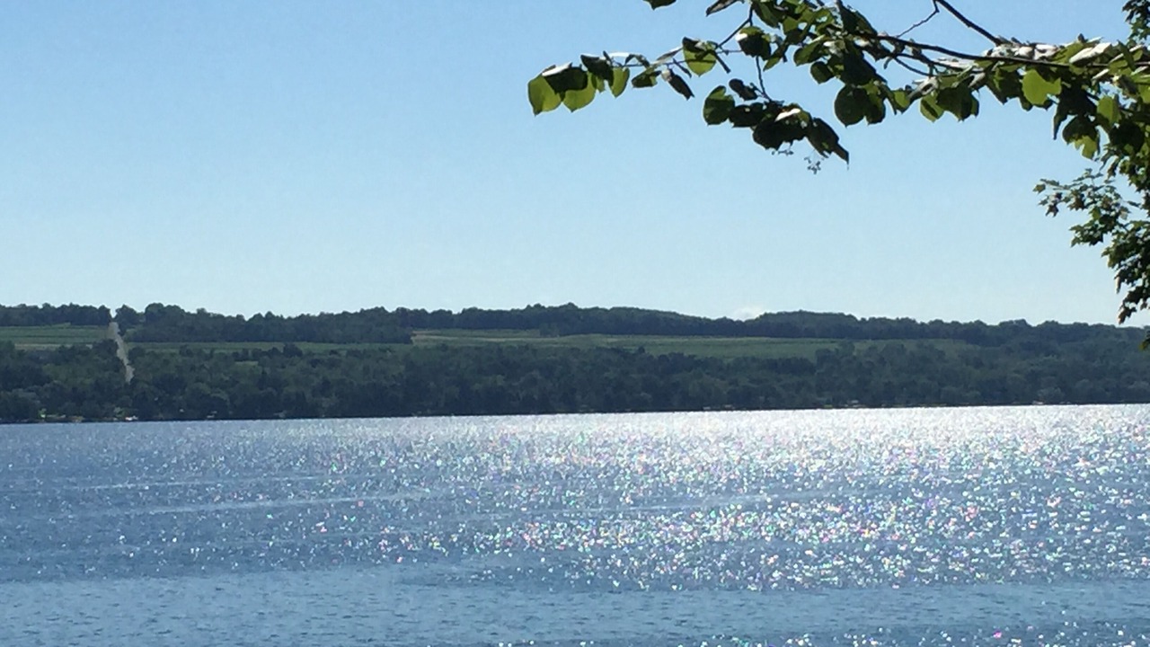 Photo of Outdoor in Skaneateles