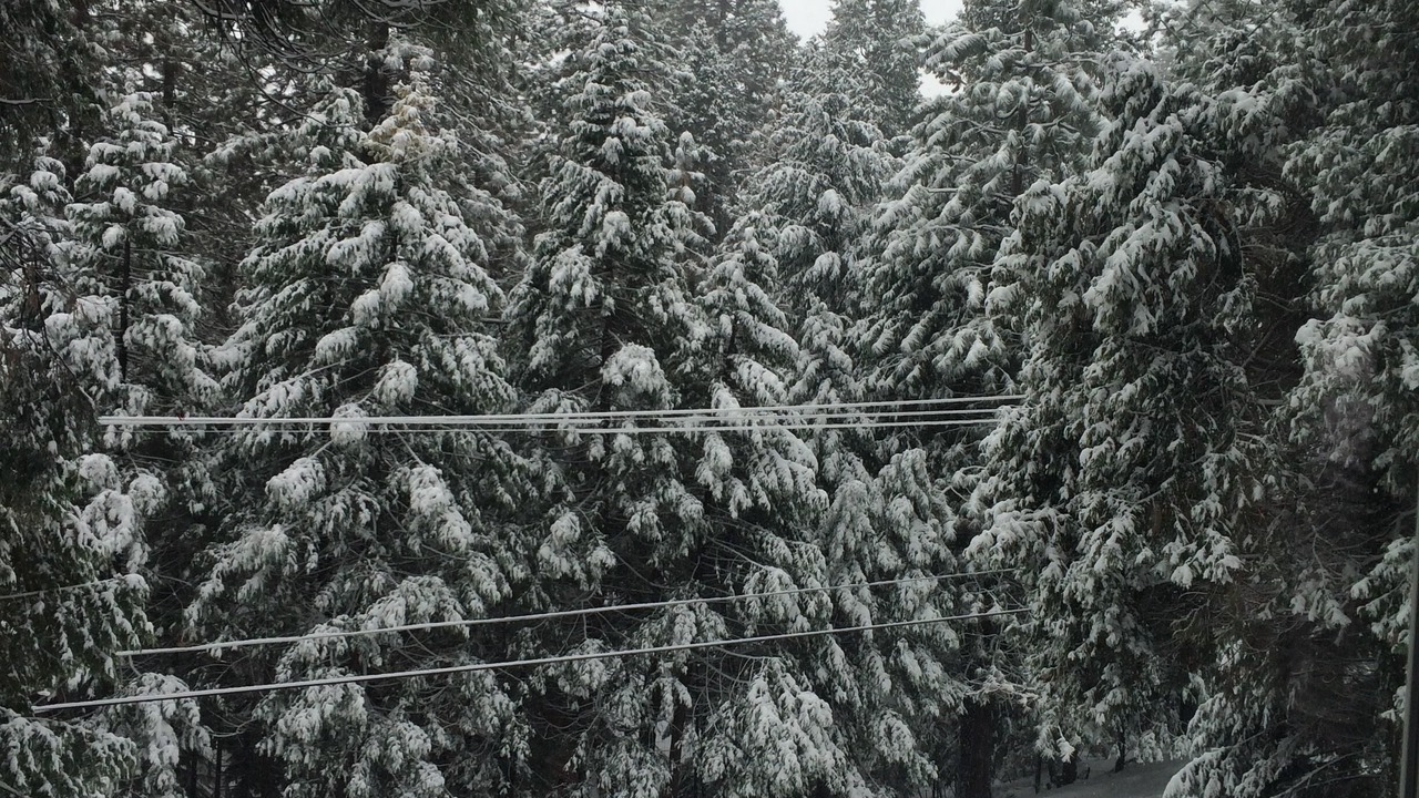 Photo of Others in Pollock Pines