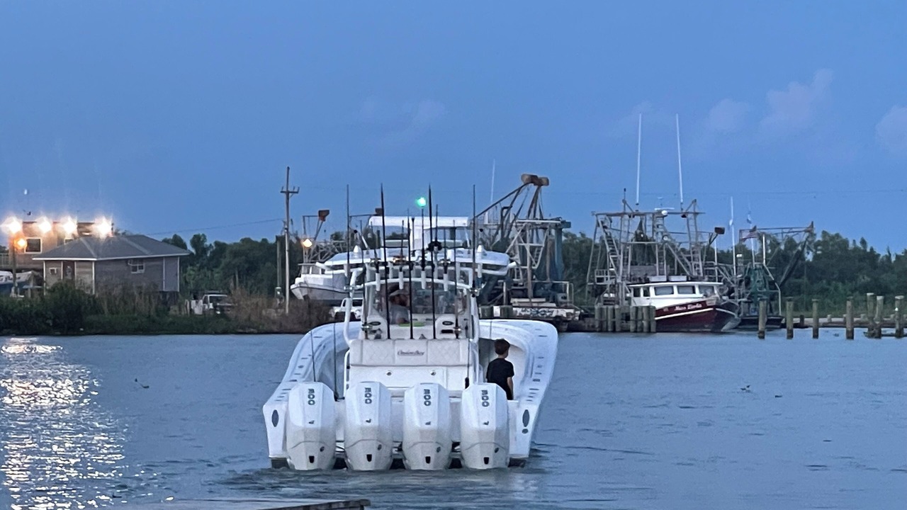Photo of Others in Boothville-Venice