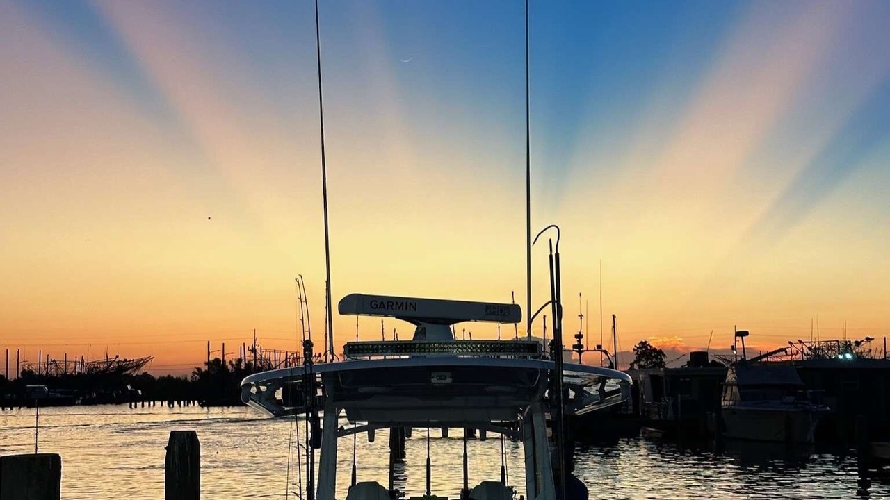 Photo of Others in Boothville-Venice