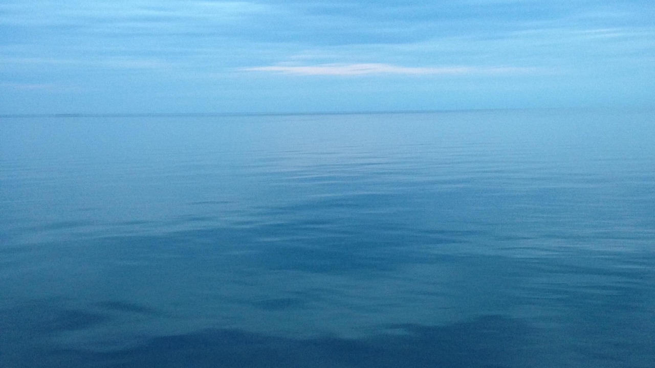 Photo of Outdoor in Wilson