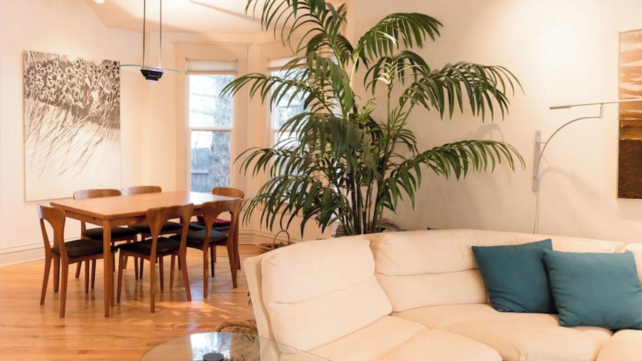 Photo of Livingroom in Lower Arapahoe