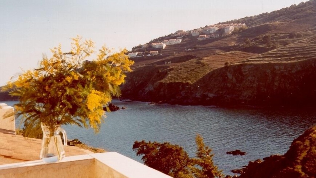 Photo of Others in Cerbere
