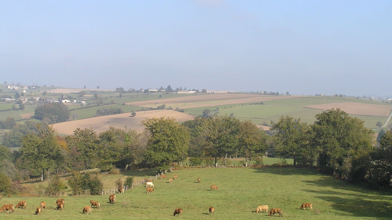 Photo of Outdoor in Rieupeyroux