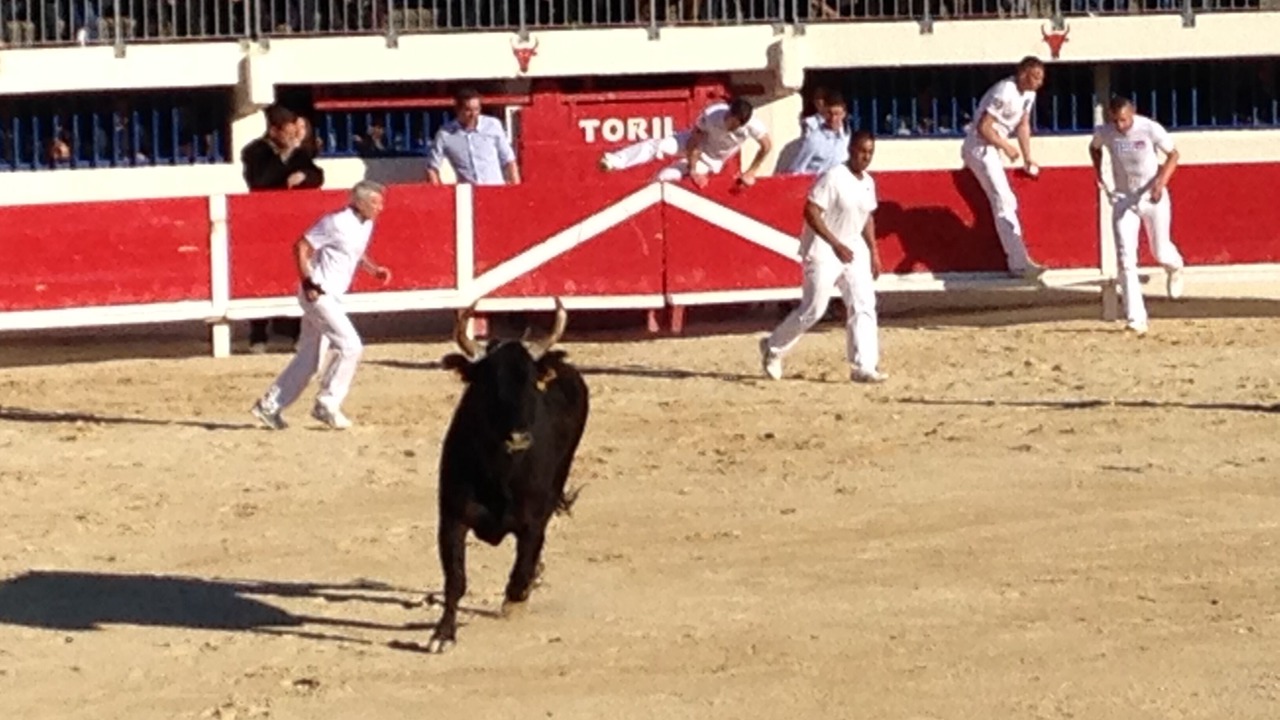 Photo of Others in Le Grau-Du-Roi