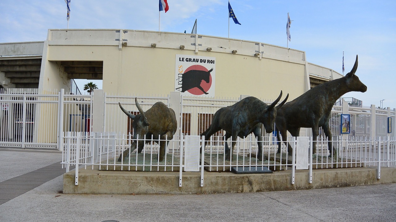 Photo of Outdoor in Le Grau-Du-Roi