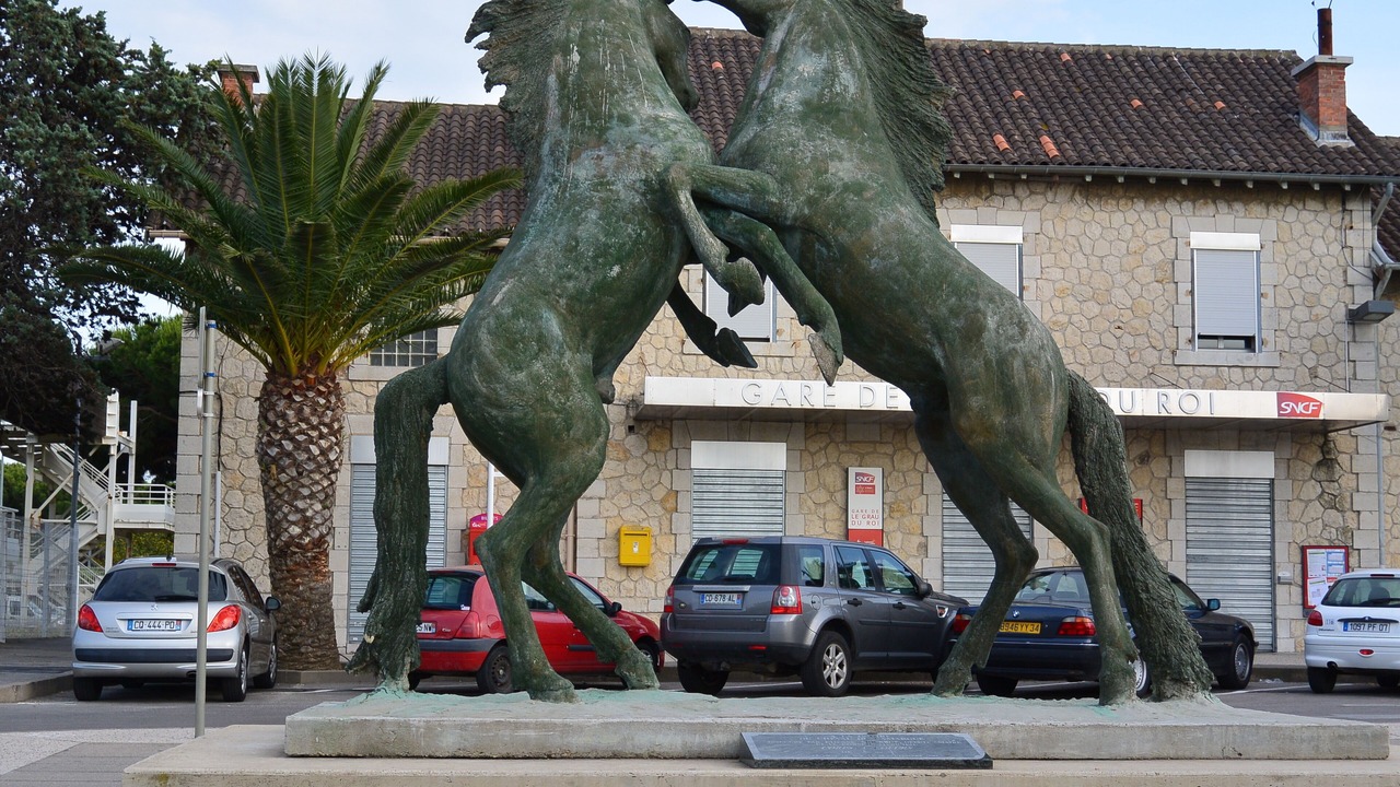 Photo of Others in Le Grau-Du-Roi
