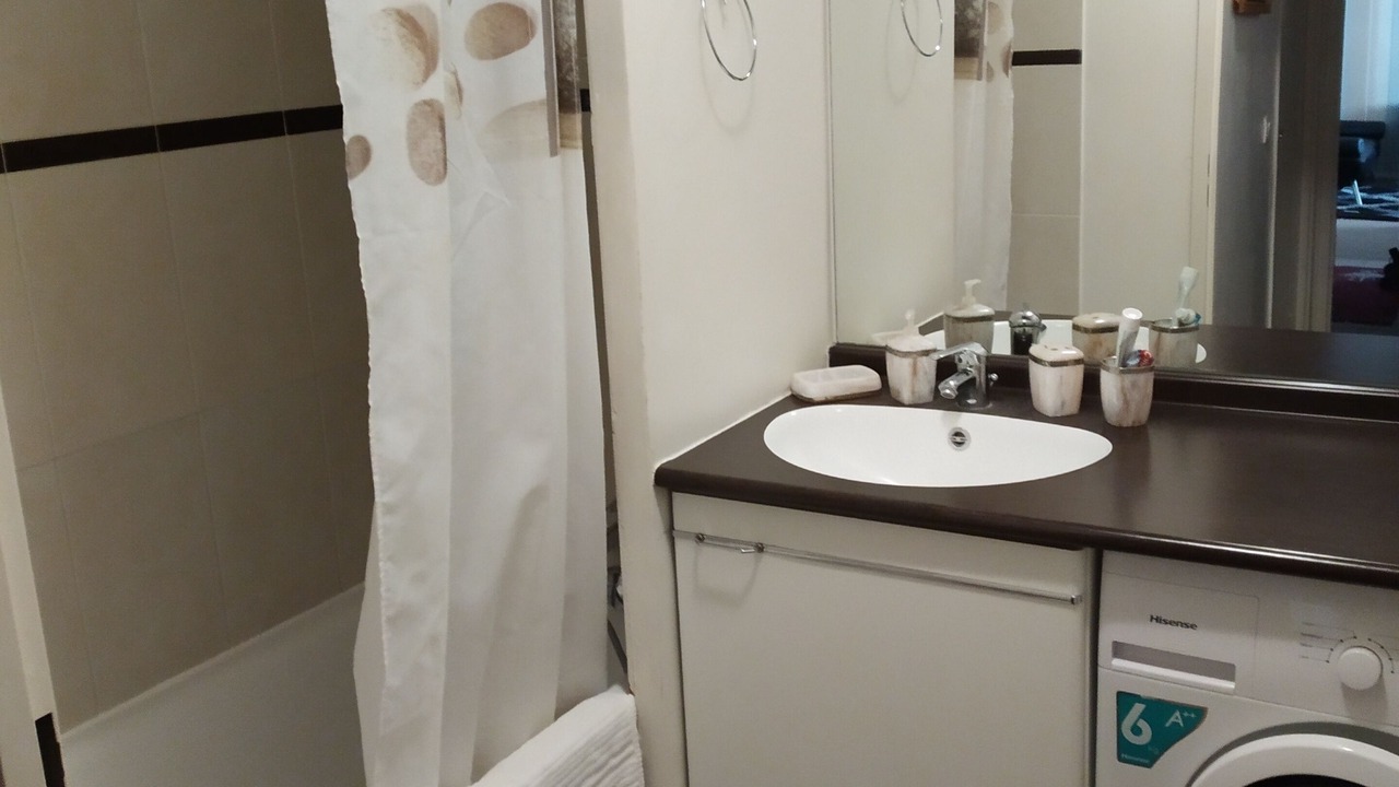 Photo of Bathroom in Saint-Denis