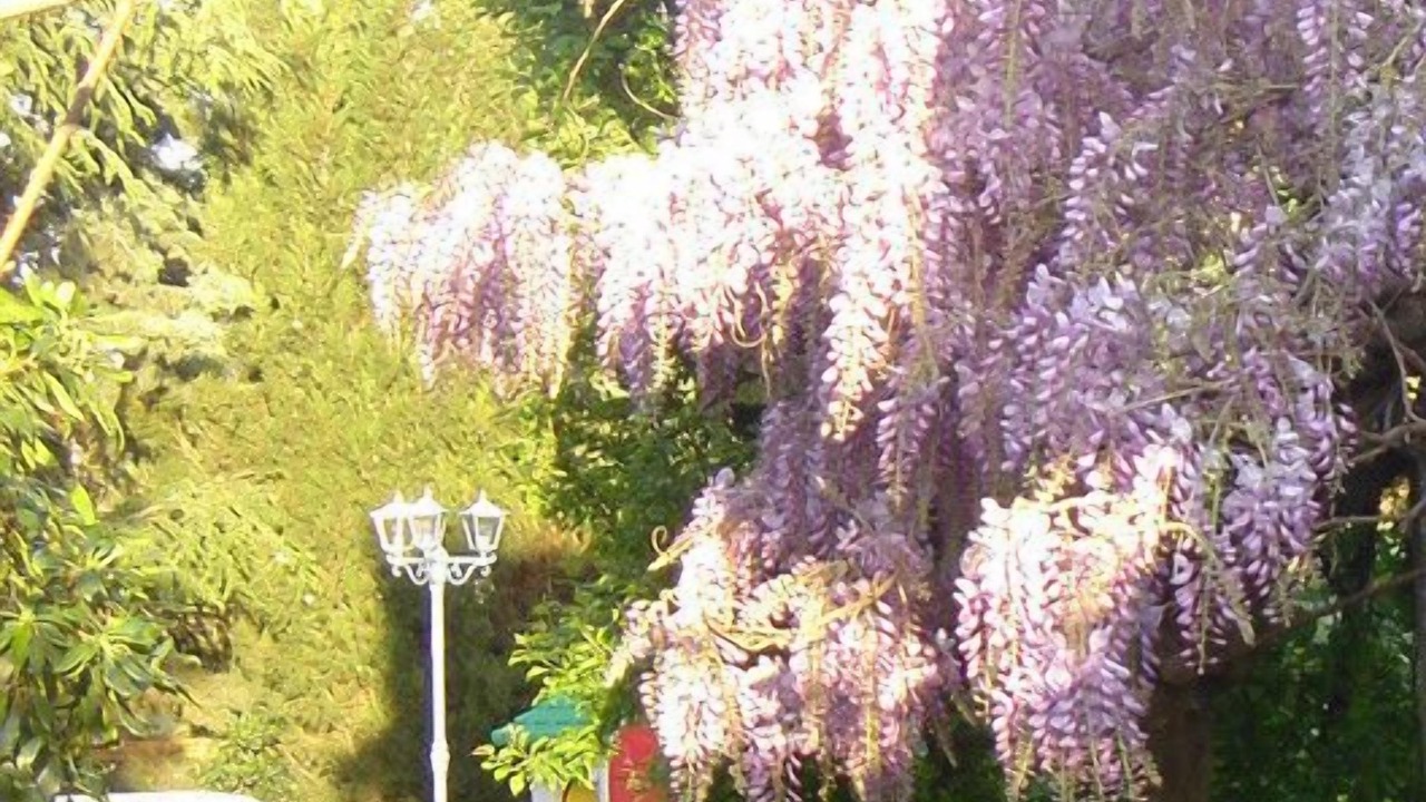 Photo of Outdoor in Villeneuve-Minervois