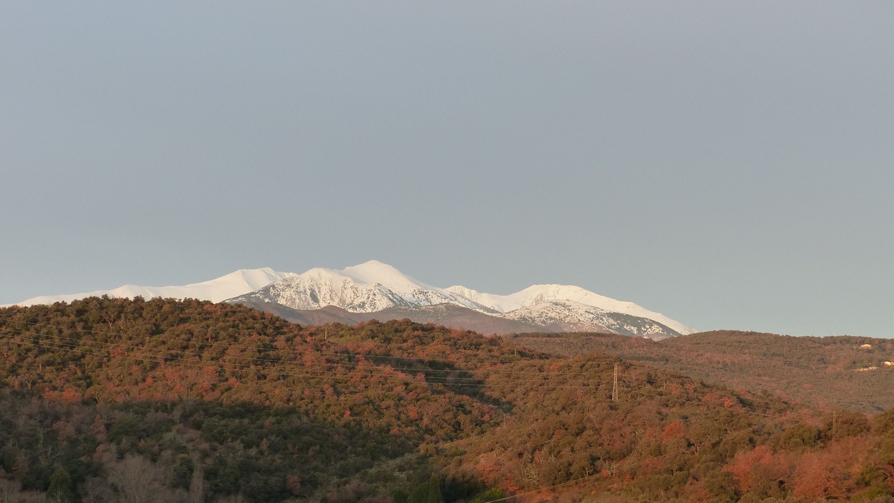 Photo of Others in Ceret