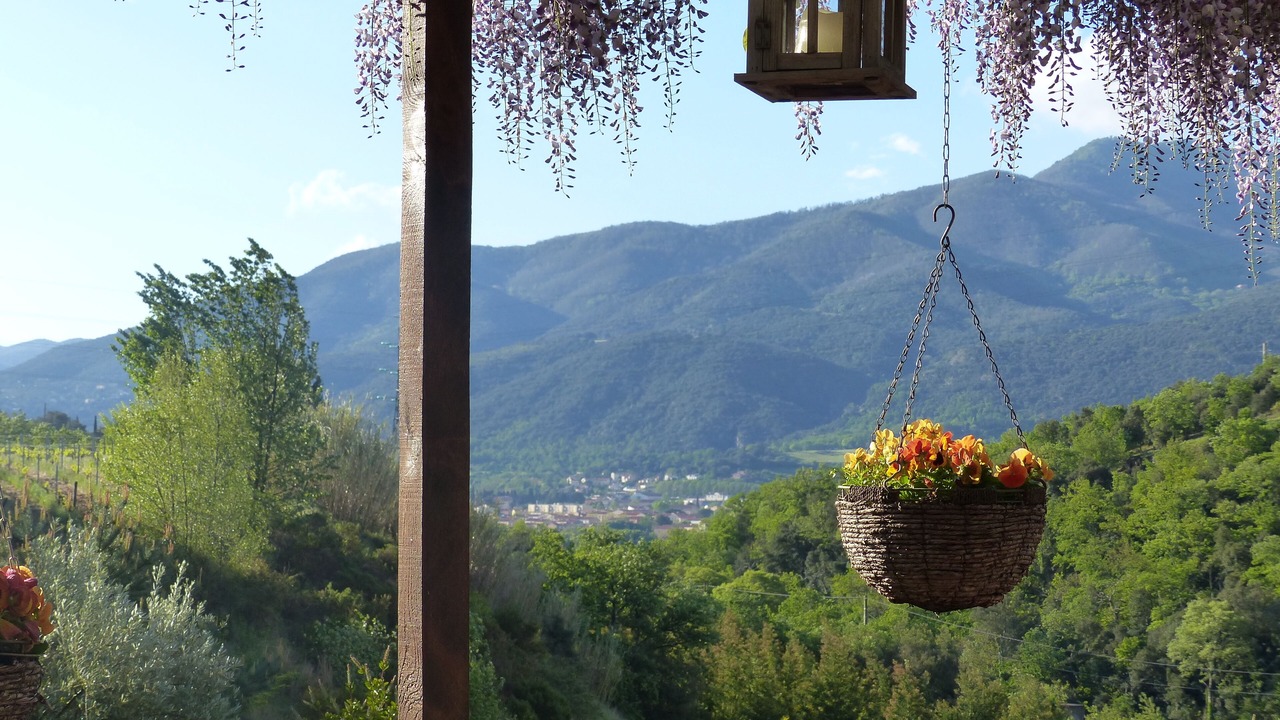 Photo of Outdoor in Ceret
