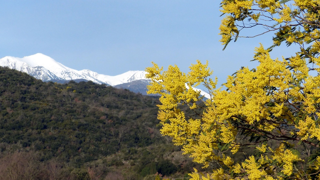 Photo of Outdoor in Ceret