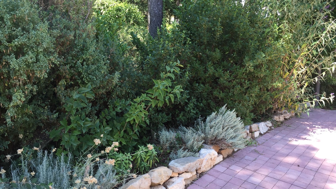 Photo of Outdoor in Calas