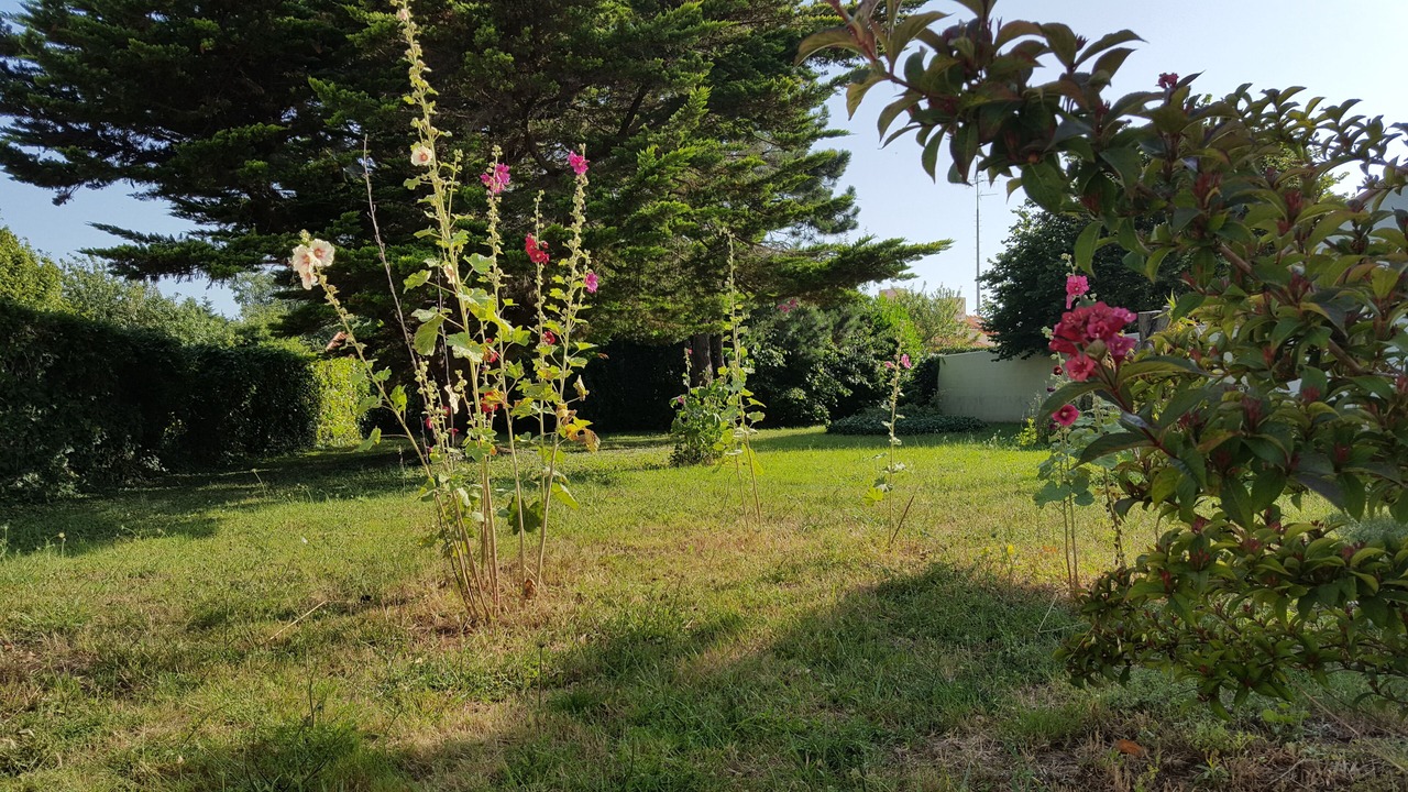 Photo of Outdoor in Saint-Vincent-sur-Jard