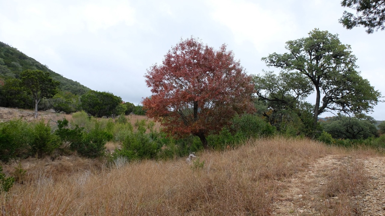 Photo of Outdoor in Vanderpool